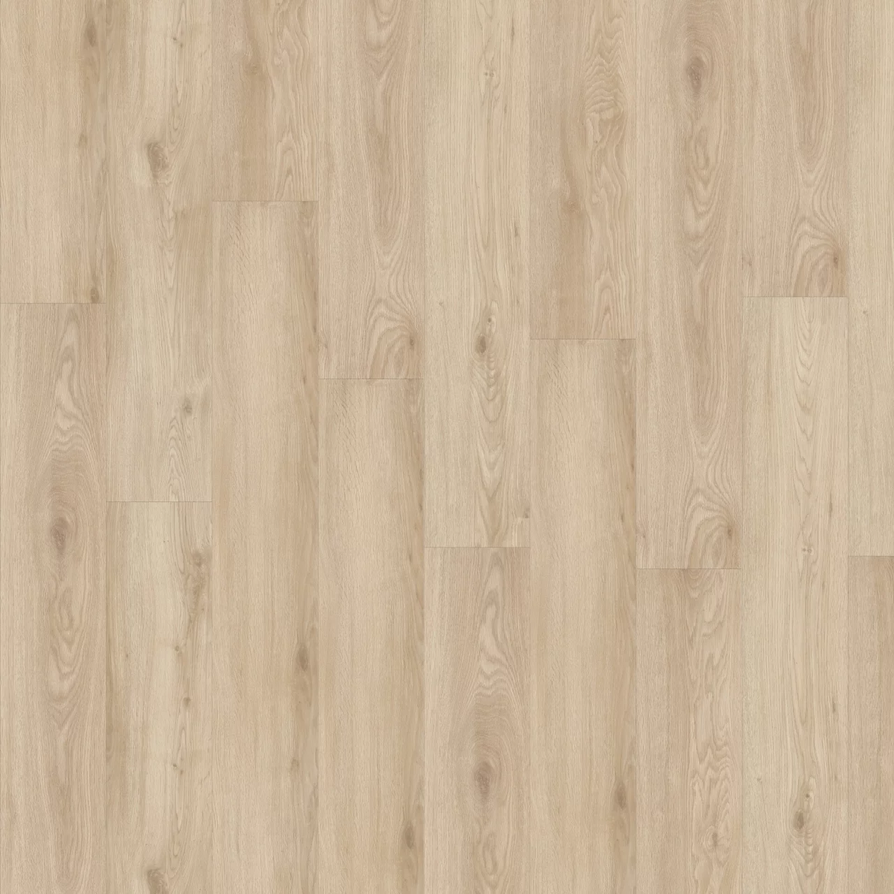 CHAPMAN OAK 05321