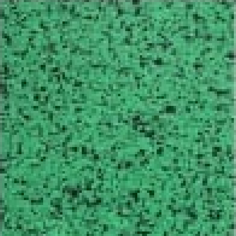 Травяснистый 95